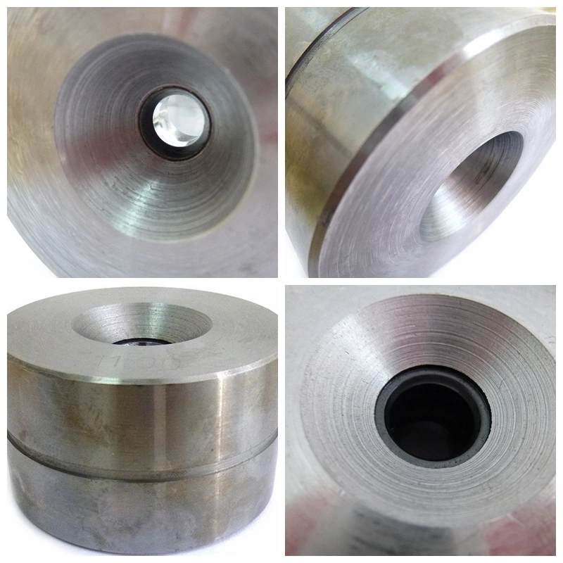 Tungsten Carbide Dies for Metal Wire Drawing