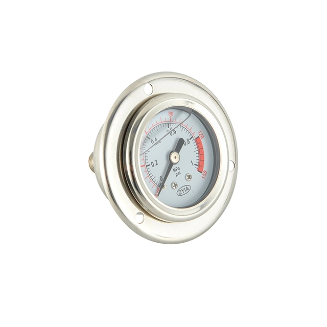 Bourdon Spring Pressure Gauge with Oil for RO System