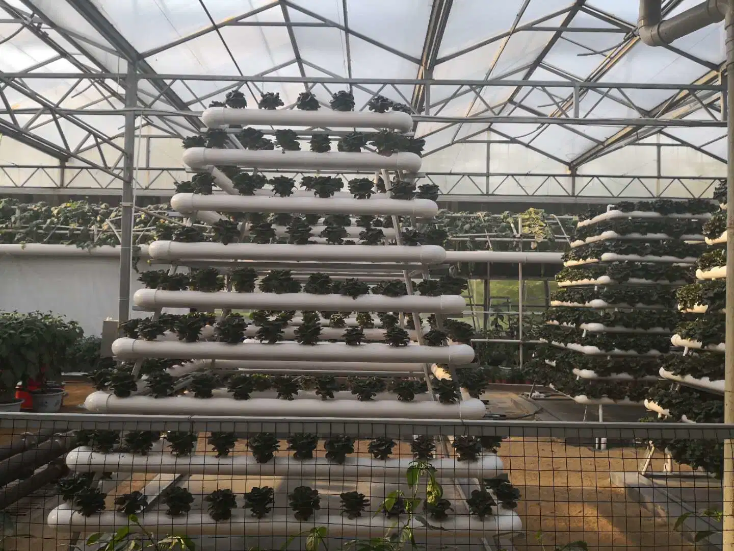 Agriculture Film Sheet Greenhouse with Advanced Hydroponic System