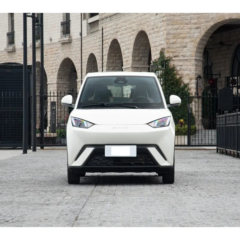 في البورصة 2023 سيارة جديدة من أكبرموقع السيارات الرياضية متعددة الاستعمالات بيد سيغول 305 km Pure Electric Vehicle BYD Seagull Ev للبيع