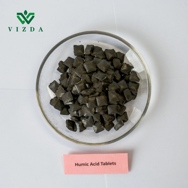 Organic Humic Acid Soluble Fertilizer Granular/Tablet