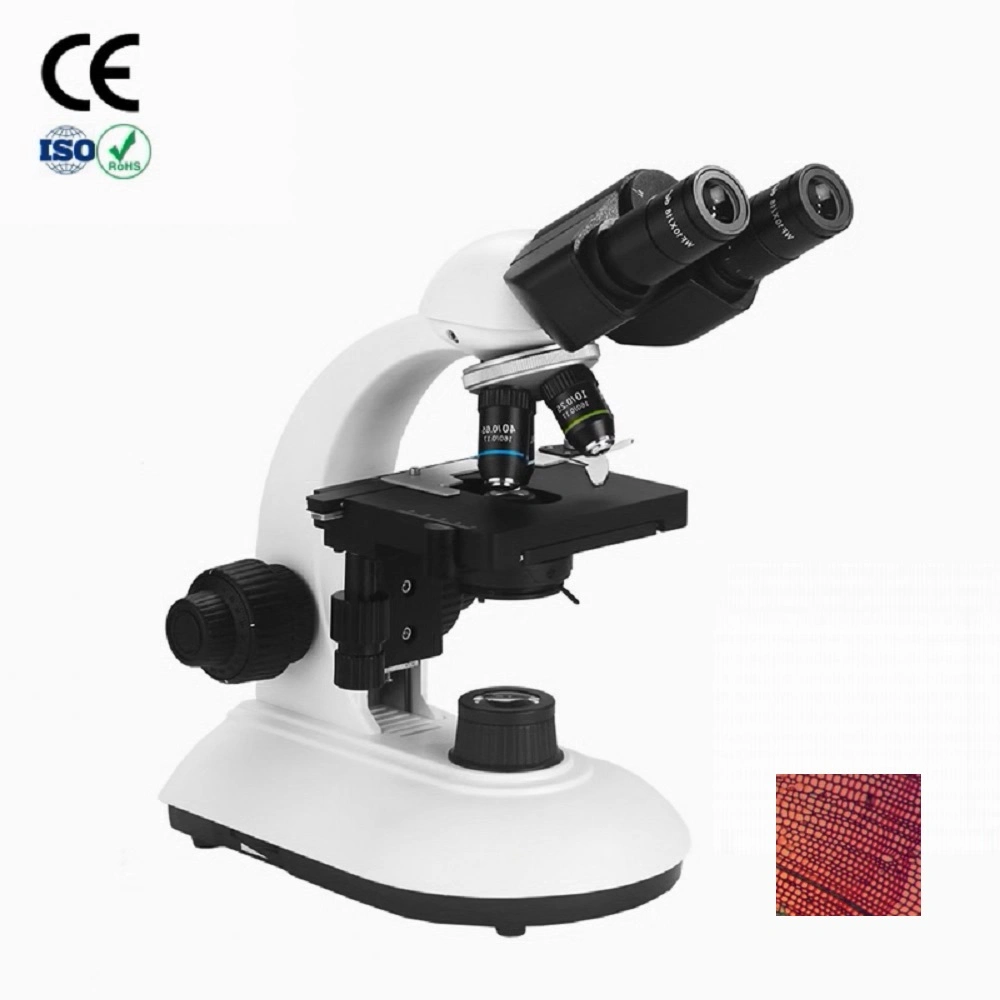 1000X резолюции медицинского документа с Amscope Trinocular Микроскоп для базовой настройки