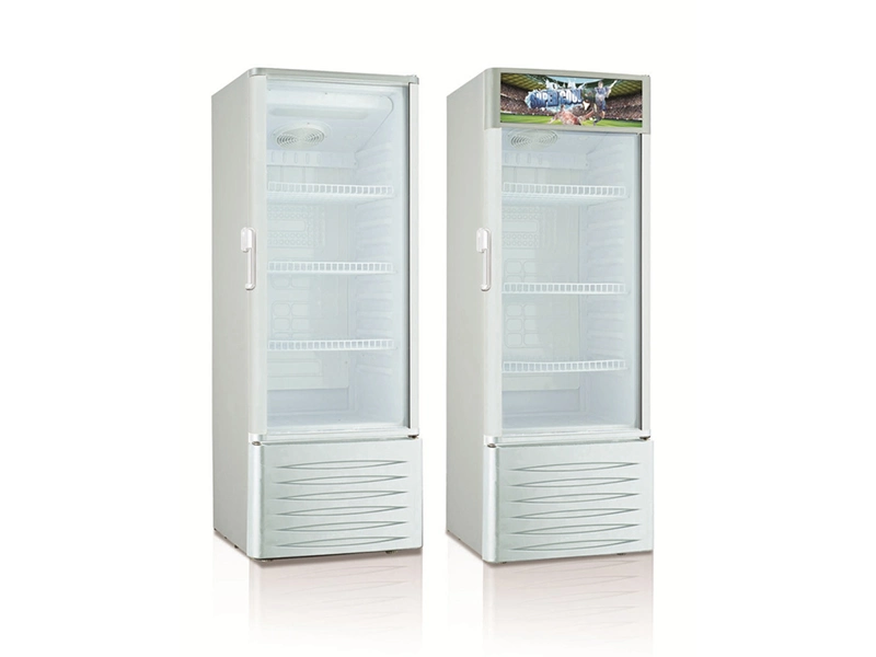 248liters Single Door Vertical Freezer, 110-240V 50-60Hz Big Sticker Lamp