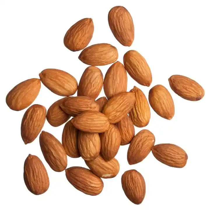 Fábrica de abastecimento 100% Natural nozes amargas Almonds tradicional Medicina Herbal