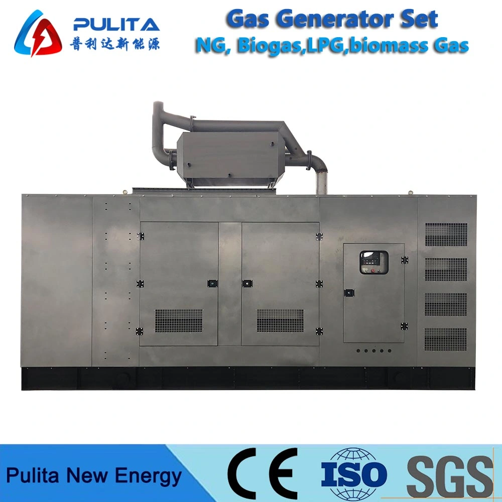 Automatic Standby Commercial 10MW Gas Generator