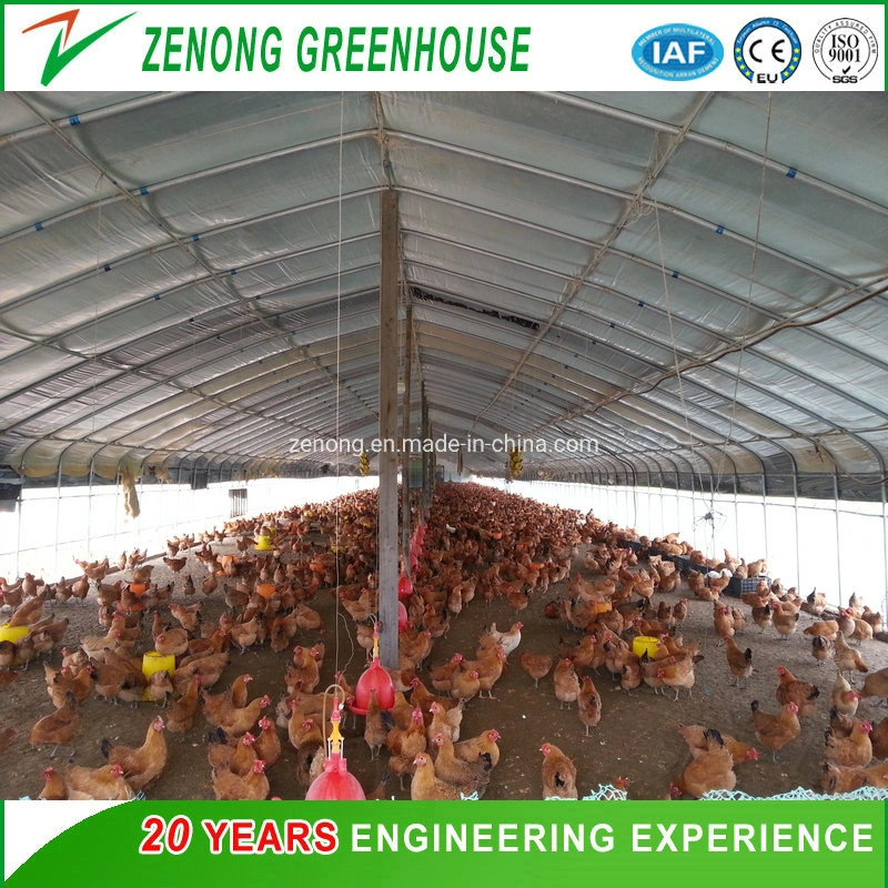 The Newest Agricultural Plastic Tunnel Film Green House for Vegetable Fruit