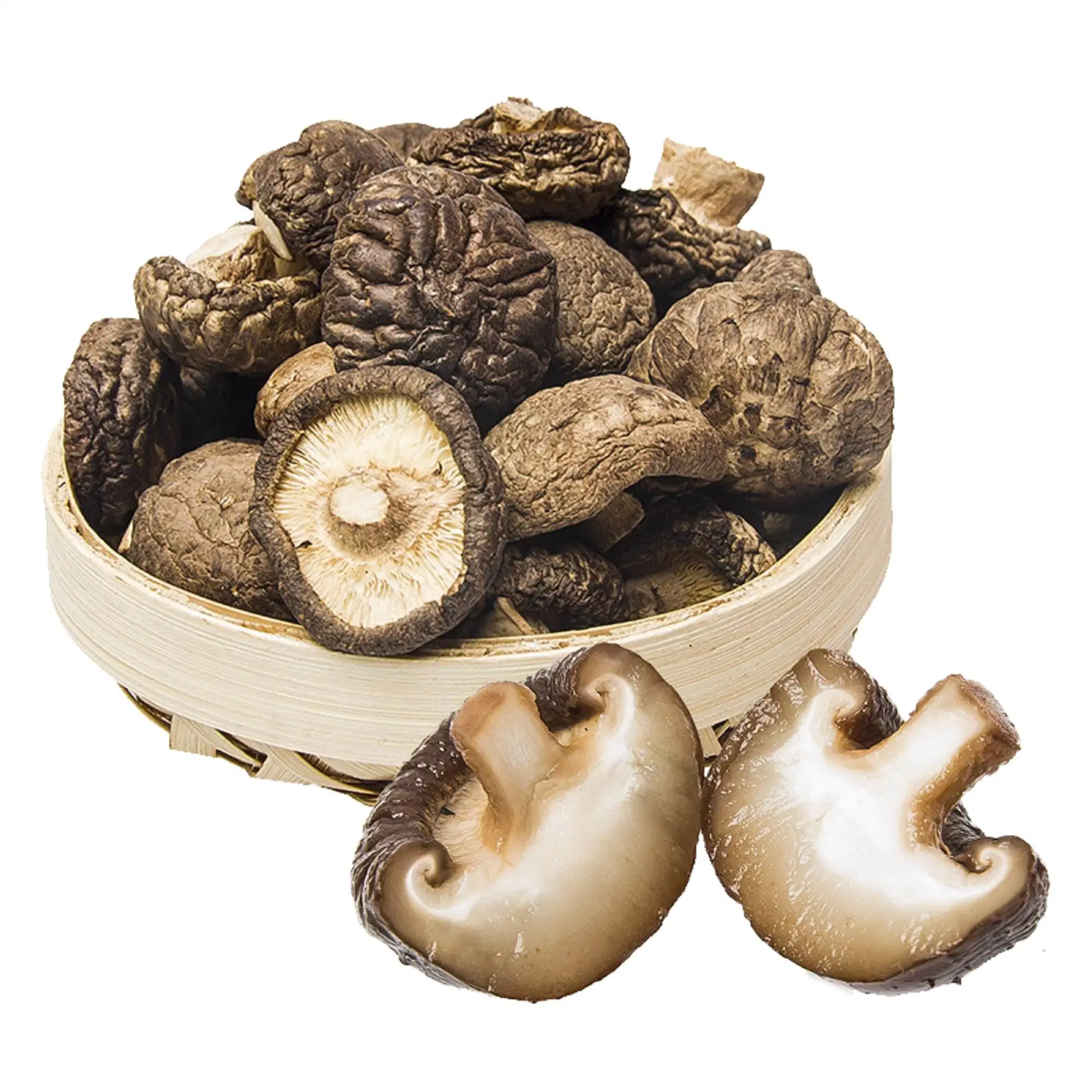 Easy Cooking Brown Tea Flower Pattern Dried Mushroom with Shiitake