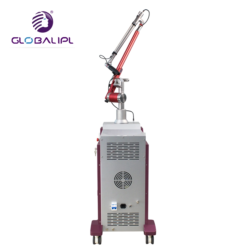 Professional Tattoo Removal Pigment Therapy Beauty Salon Instrument Alex Laser in China