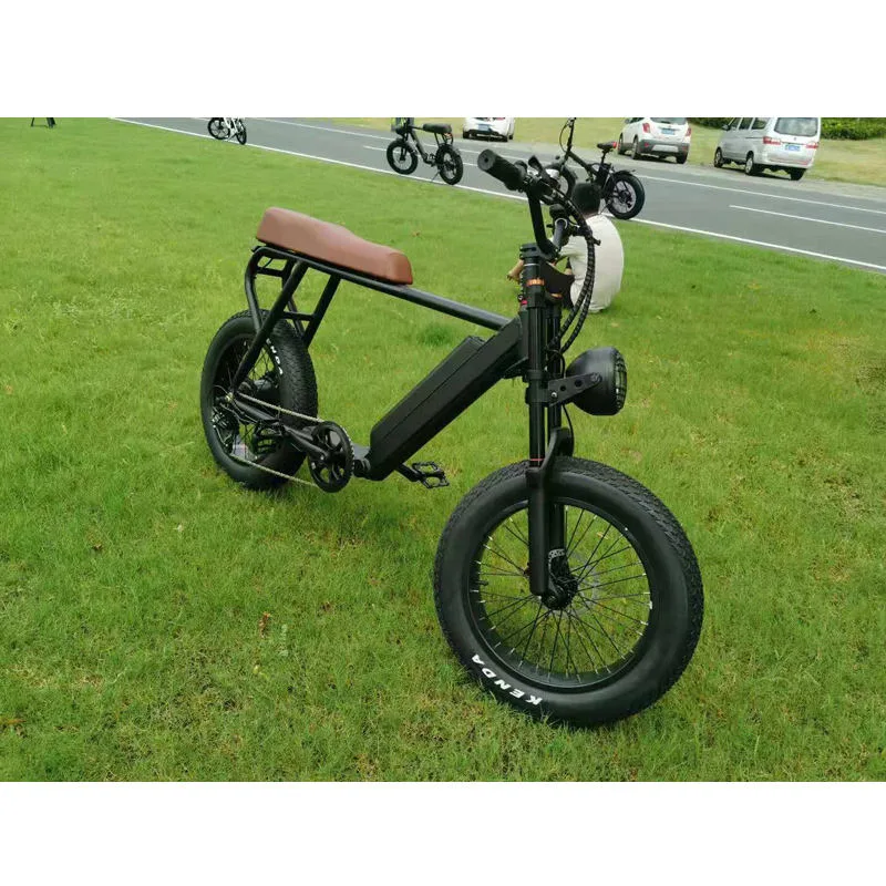 Aluminium Alloy Lithium Power Fat Tire Mountain Electric Mountain E Bike