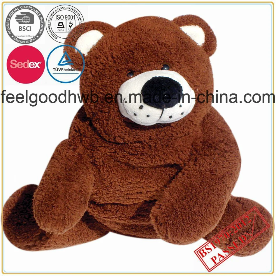 Cute Plush Toy with Hot Water Bottle