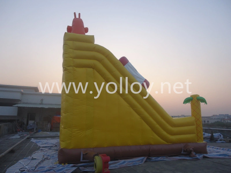 Factory Amusement Park Inflatable Bouncy Castle Slide for Sale
