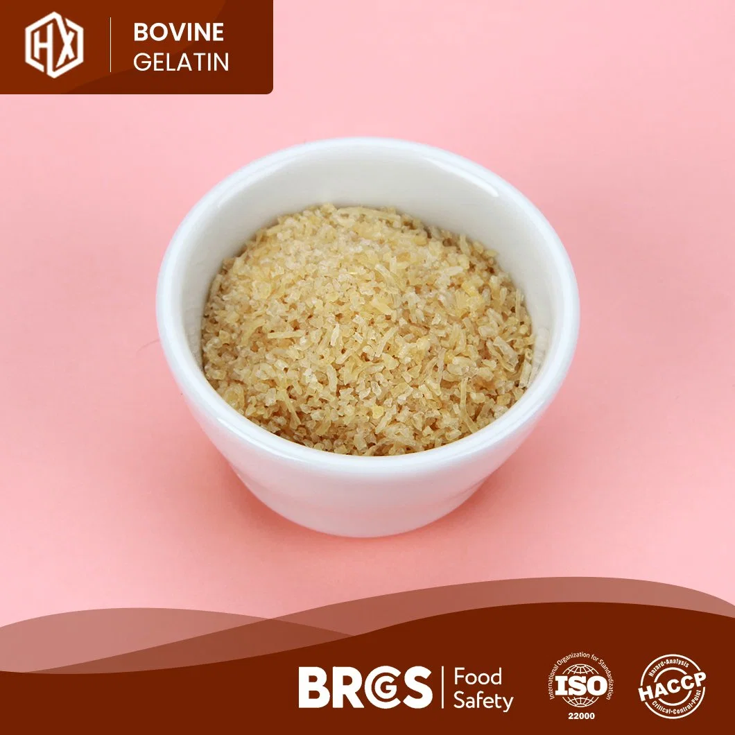 Haoxiang 260 Bloom Food Grade gelatina em pó de pele bovina High Quality Pharma bovino gelatina de pele China fabricante Pronto para enviar Gelatina hidrolisada de pele bovina