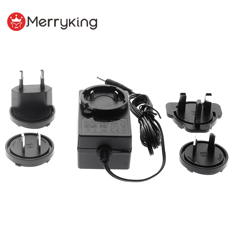 5V 4A 9V 3A 12V 2A 36V 1A Output Interchangeable Plugs Us EU UK Au Pin Power Adapter