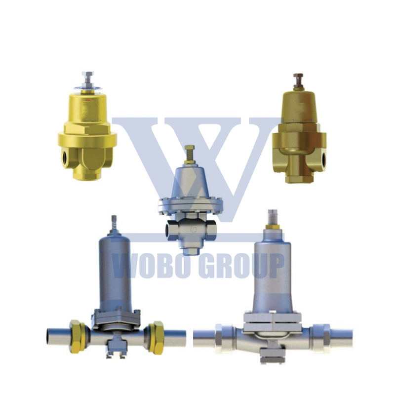 Cryogenic Pressure Building Regulating Valve for Vacuum Pipe