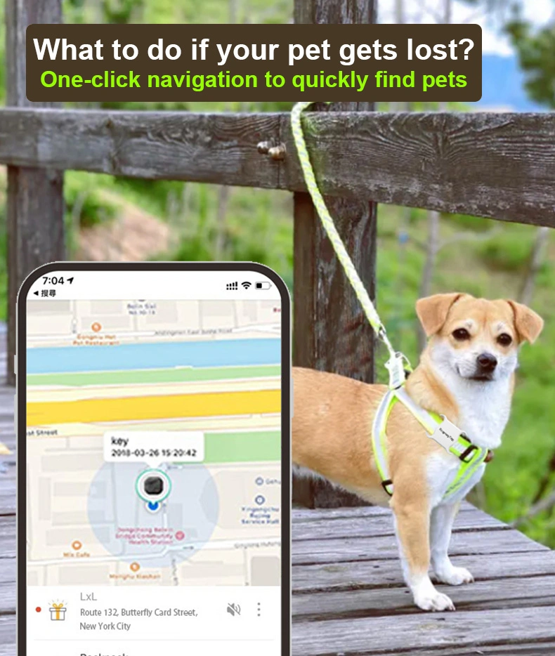 OEM Air Tag Mfi Trouver Mon Itag Animal de Compagnie Chien Suivi en Temps Réel Portefeuille Bagage Localisateur Mini Traceur GPS pour Apple/Android