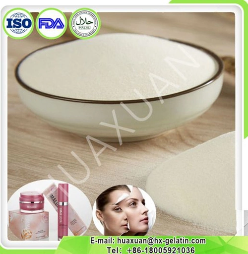 Fish Collagen Peptide Powder