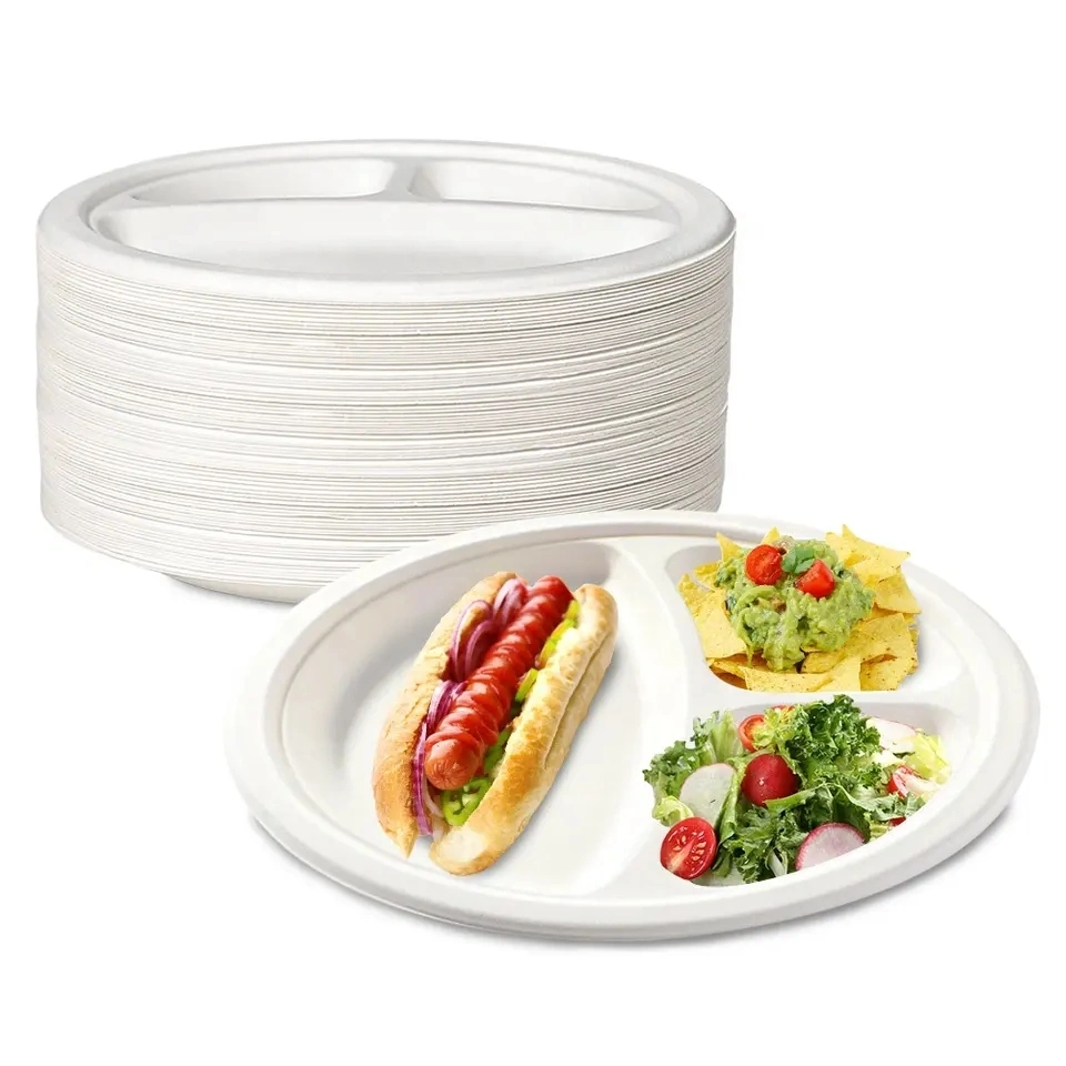 Assiettes jetables en bagasse blanche de 10 pouces pour repas, fête, camping et pique-nique.