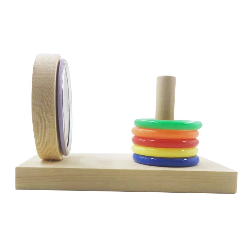 Training Chew Puzzle Colorful Plastic Rings Wooden Bird Parrot Intelligence Toy