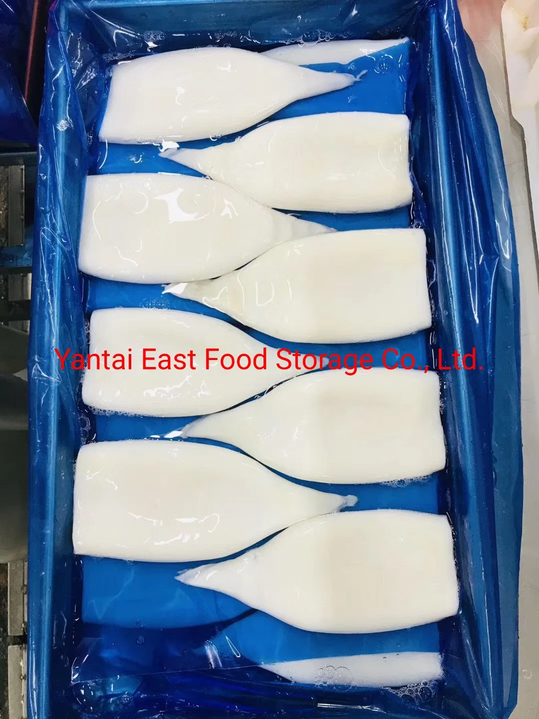 Frozen Squid Tubes, Gigas, Illex, Todarodes