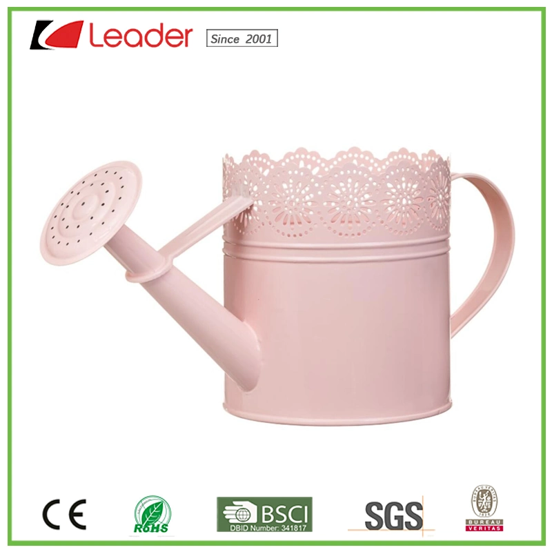 Multifunctional Exclusive Metal Pink Watering Can for Home and Garden Ornaments