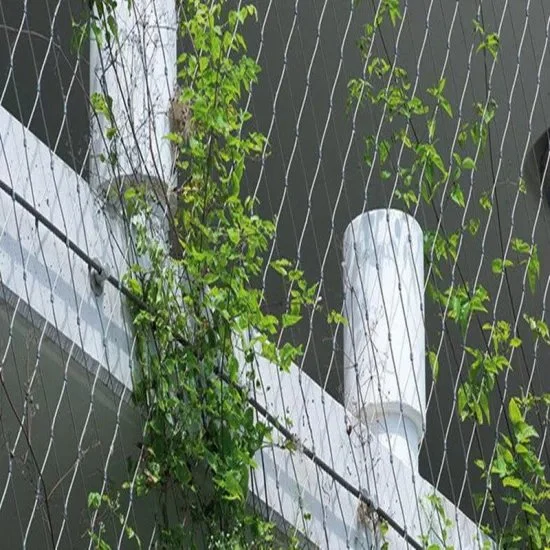 Gebäudefassade Fällt Flexibel Schutzgrün Sicherheit Edelstahl Seil Kabelgeflecht Geflügel Käfig Garten Drahtgitter Balkon Geländernetz