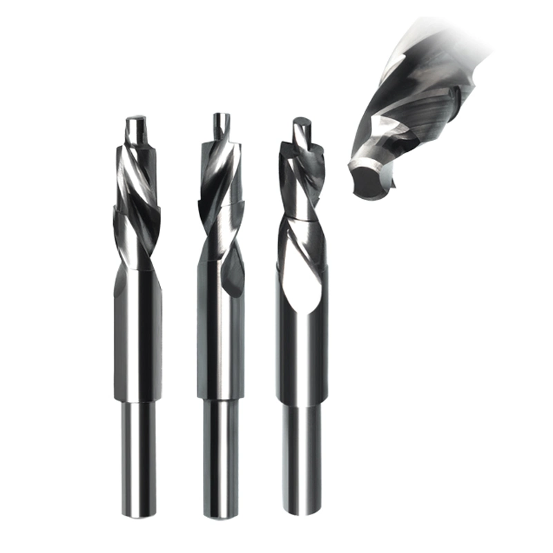 CBN Drill Diamond Drill Twist Drills for Sale