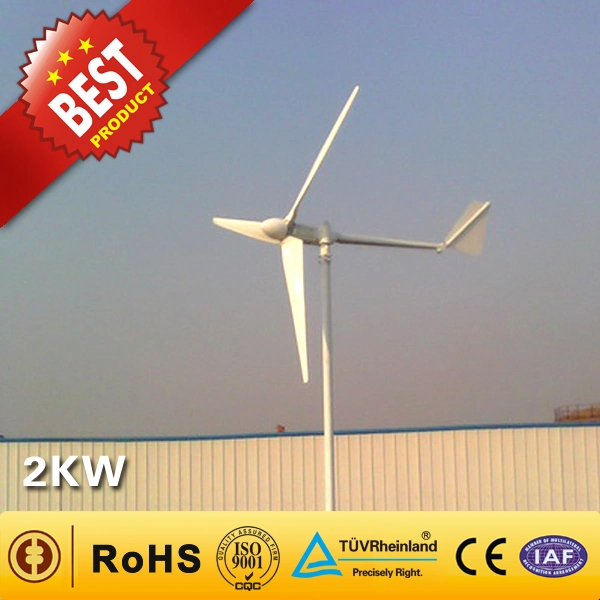 2kw High Efficiency Brushless Wind Turbine Generator for Home Use (2000W) 2kw Wind Turbine Power for Home Use Wind Mill for Wind Energy System