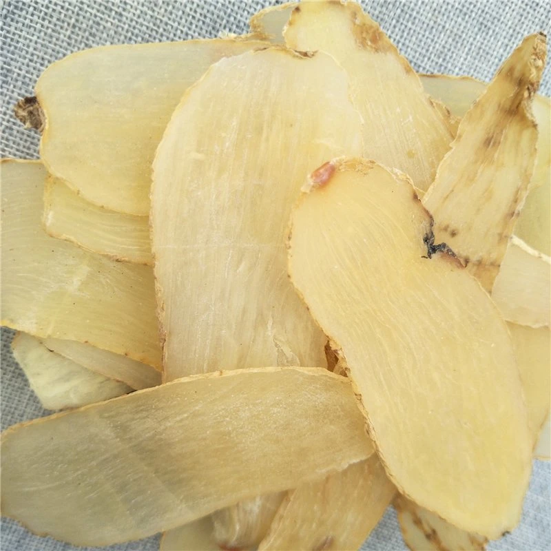 Tian Ma por grosso China Gastrodia Rhizoma Gastrodiae secas derivadas de raiz para o reumatismo