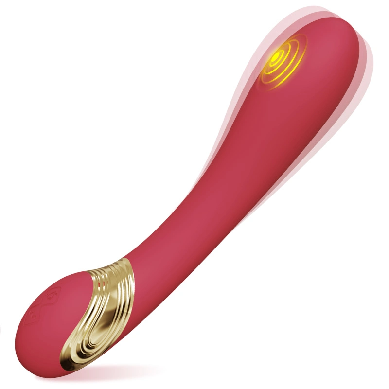 Adult Suction Vibrator Wearing Penis Vibrator Sex Toys for Women