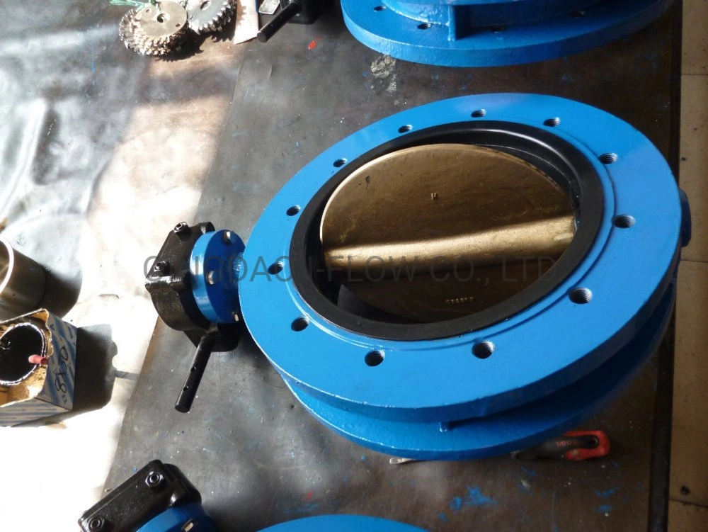 Worm Gear Operated Rubber Seal U Flange Type Butterfly Valve for Sea Water