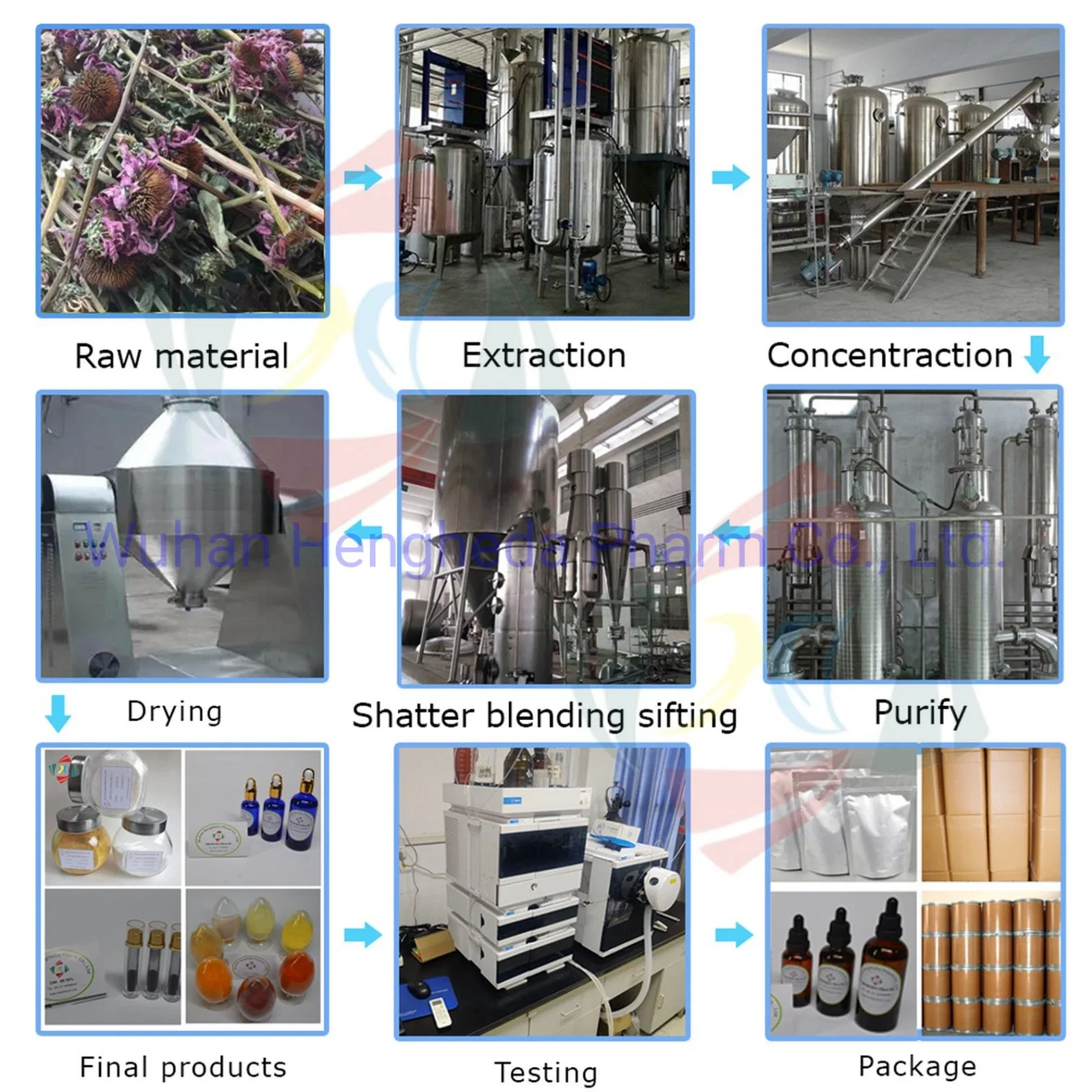 La Chine usine la perte de cheveux d'alimentation Percée PTD-peptides Poly 8 dBm dBm PTD de l'Europe de produits chimiques de recherche