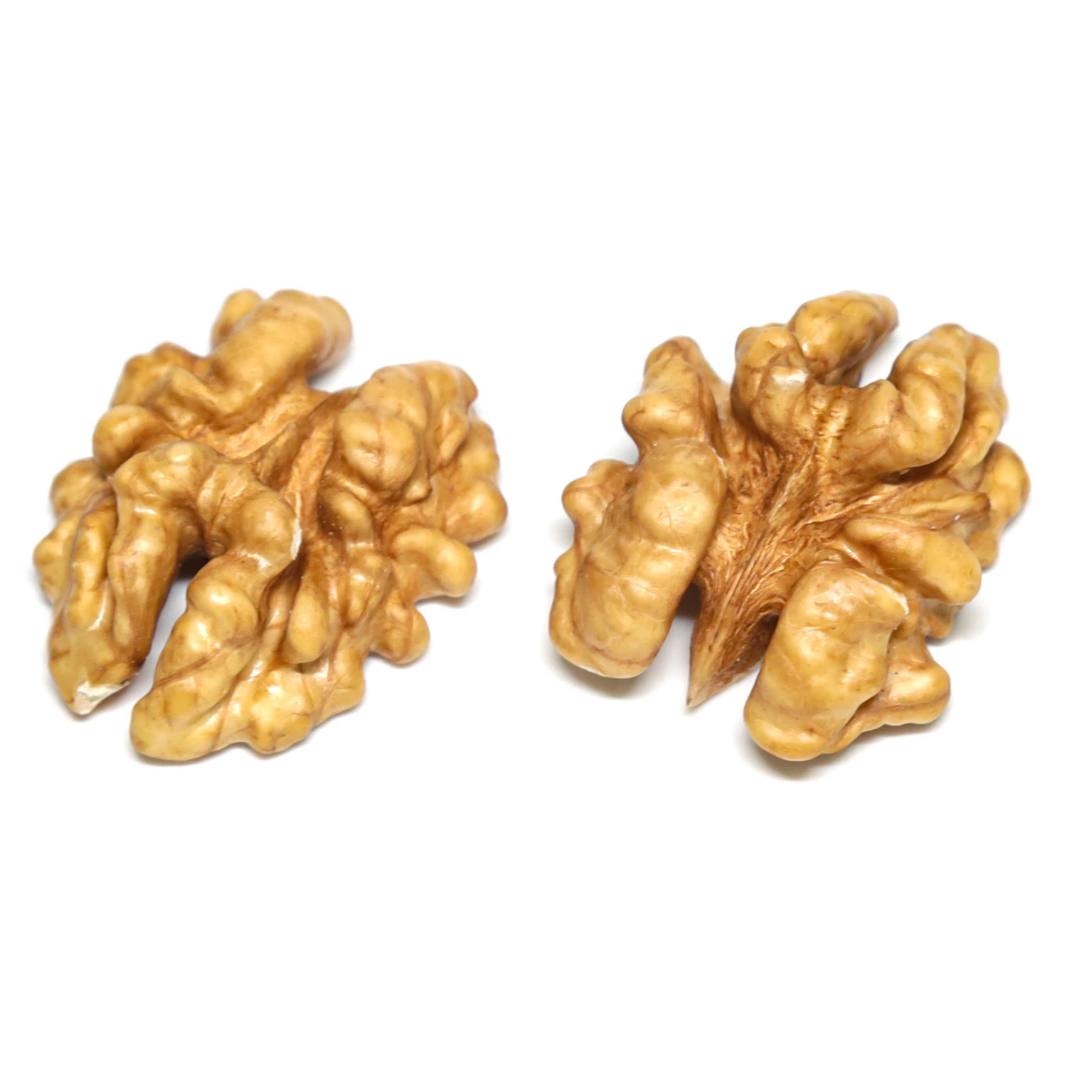 Walnut Kernels, Walnut Without Shell with High Protein18mm-24mm