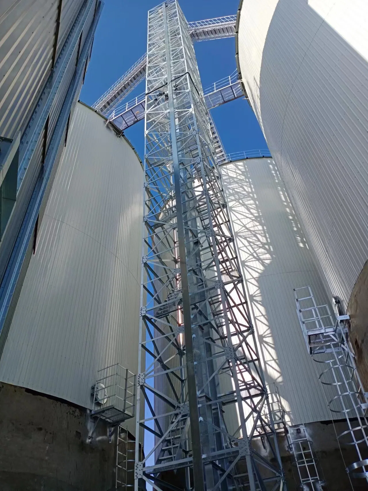 Pollo cerdo silos de almacenamiento de piensos para animales de granja el molino de alimentación de aves de corral de alimentación utilizado silo