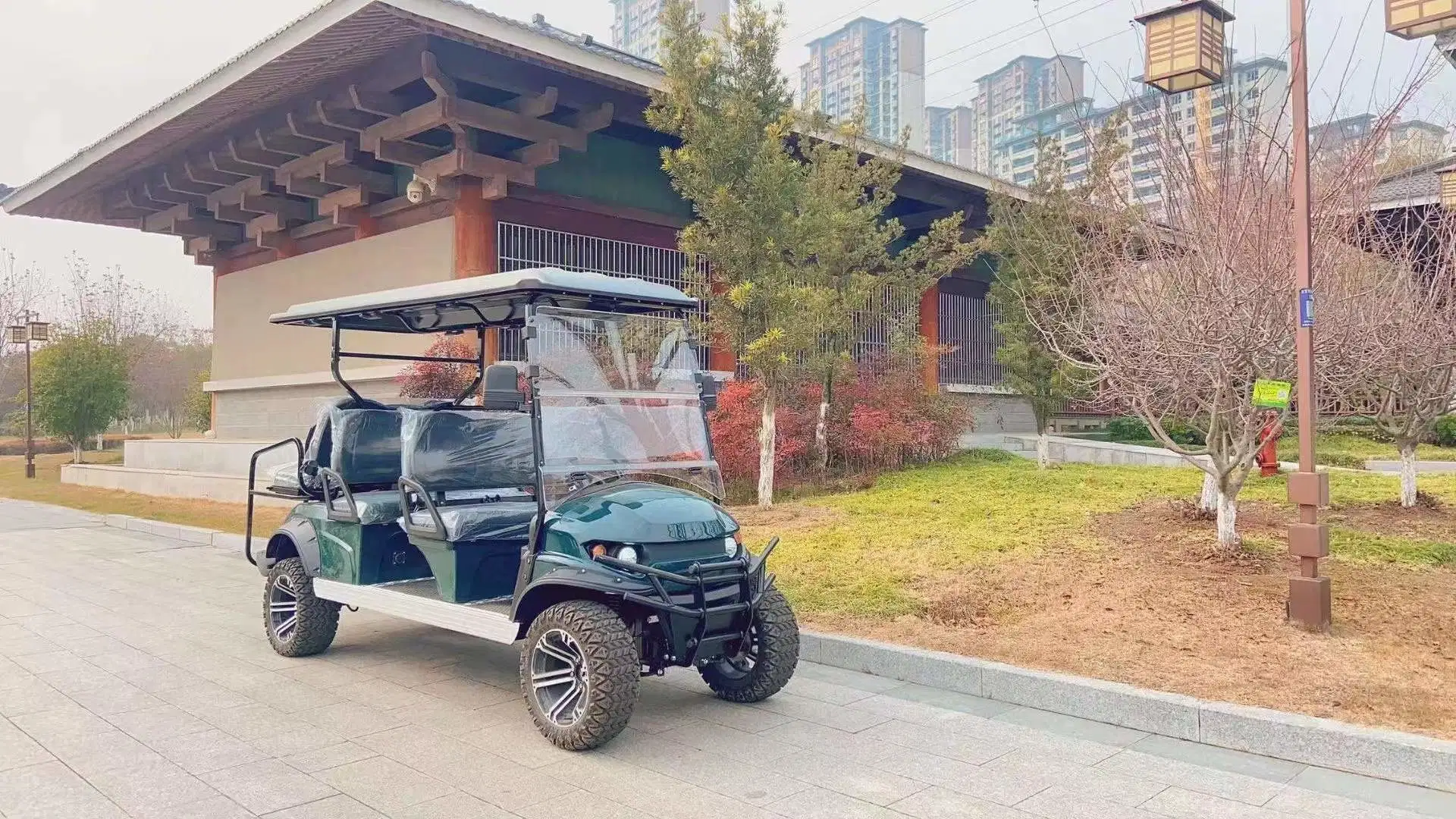 6 Caliente el asiento eléctrico levantó la caza carro de golf buggy en venta