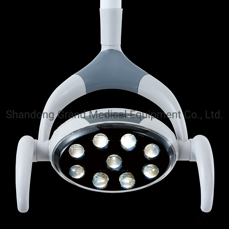 9 LED Lens Shadowless Dental Light Operation Lamp with Portable Stand