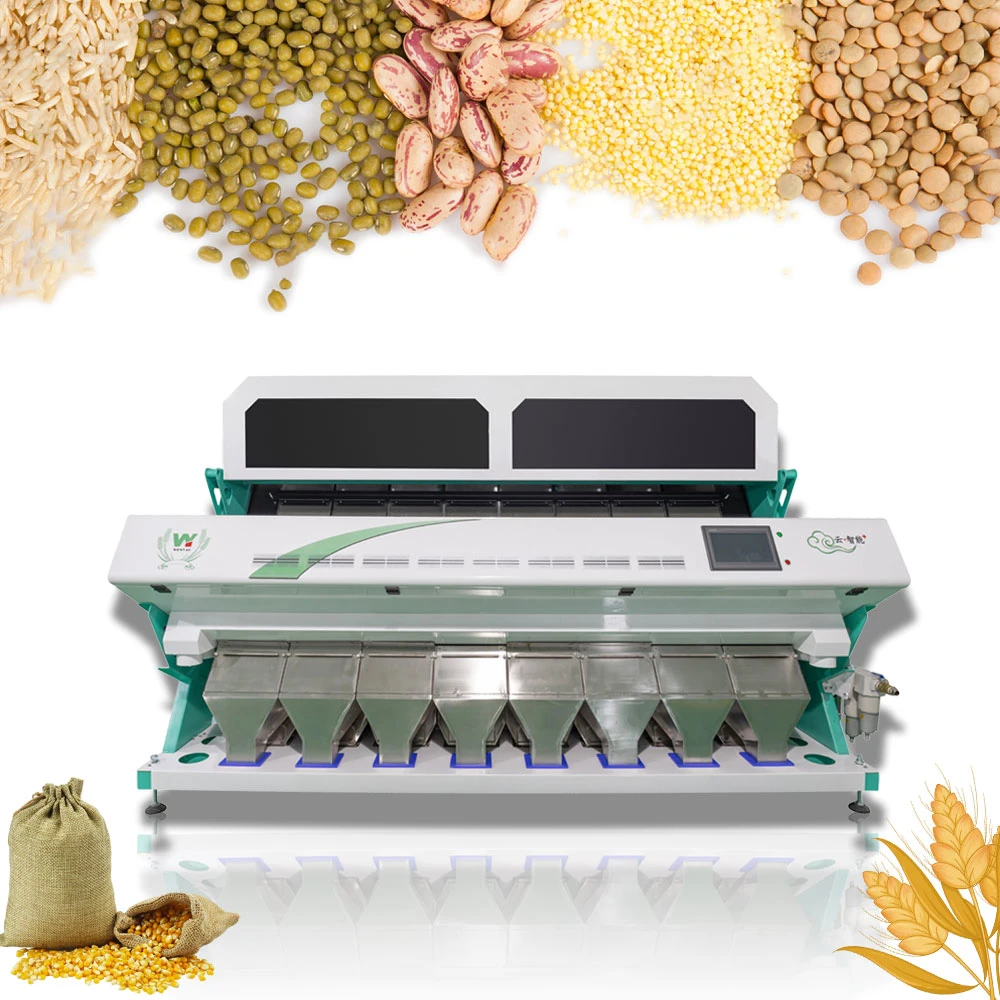 Factory Price Full Automatic Coffee Bean/Lentil/Peanut/Rice/PVC/Pet CCD Rice Color Sorter Food Processing Machine