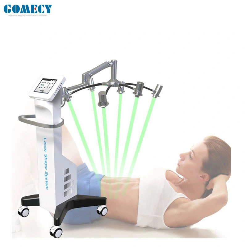 Fat Burning Cellulite Body Slimming 10d Lipo Laser Machine