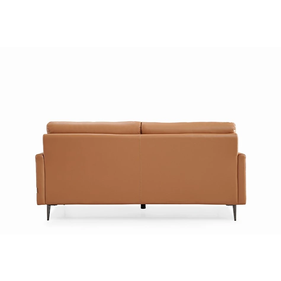 Contemporary Designer Home Settees Loveseat Chair Living Room Furniture Couches Leather Sofa