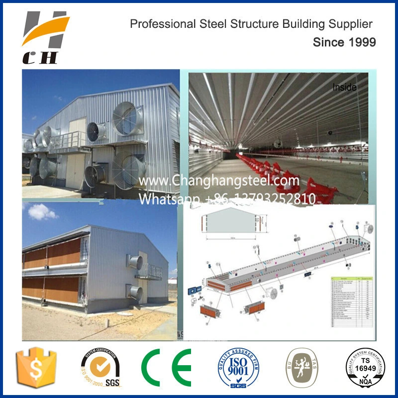 China Supply Automatic Equipment Chicken House Poultry Farm