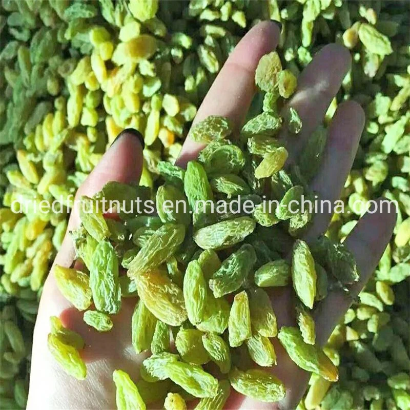 La Chine prix bon marché sans pépins de raisins secs Xinjiang Turpan Raisin