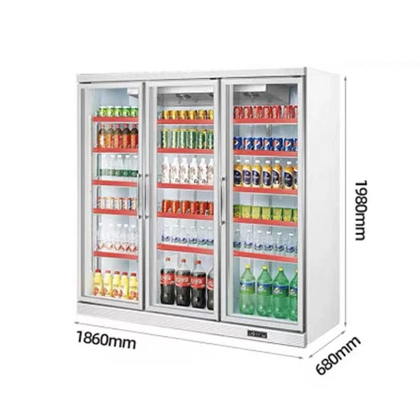 Commercial Glass Door Vertical Ice-Cream Freezer