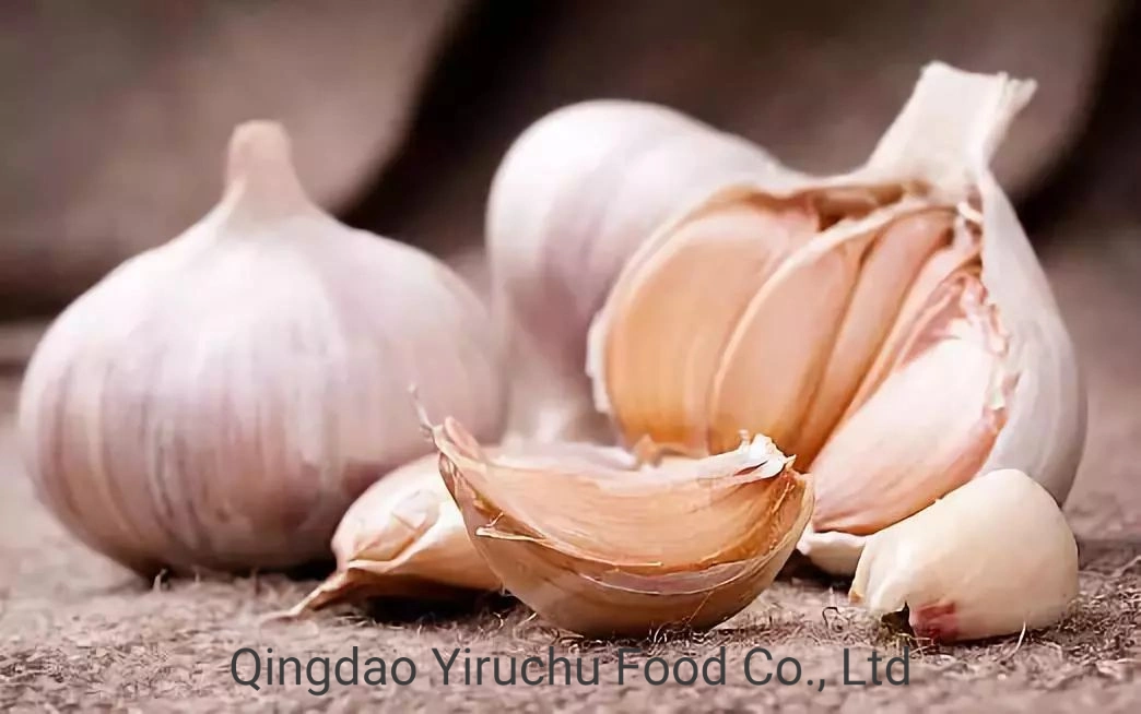 Direct Supply From Chinese Origin, High-Quality Garlic