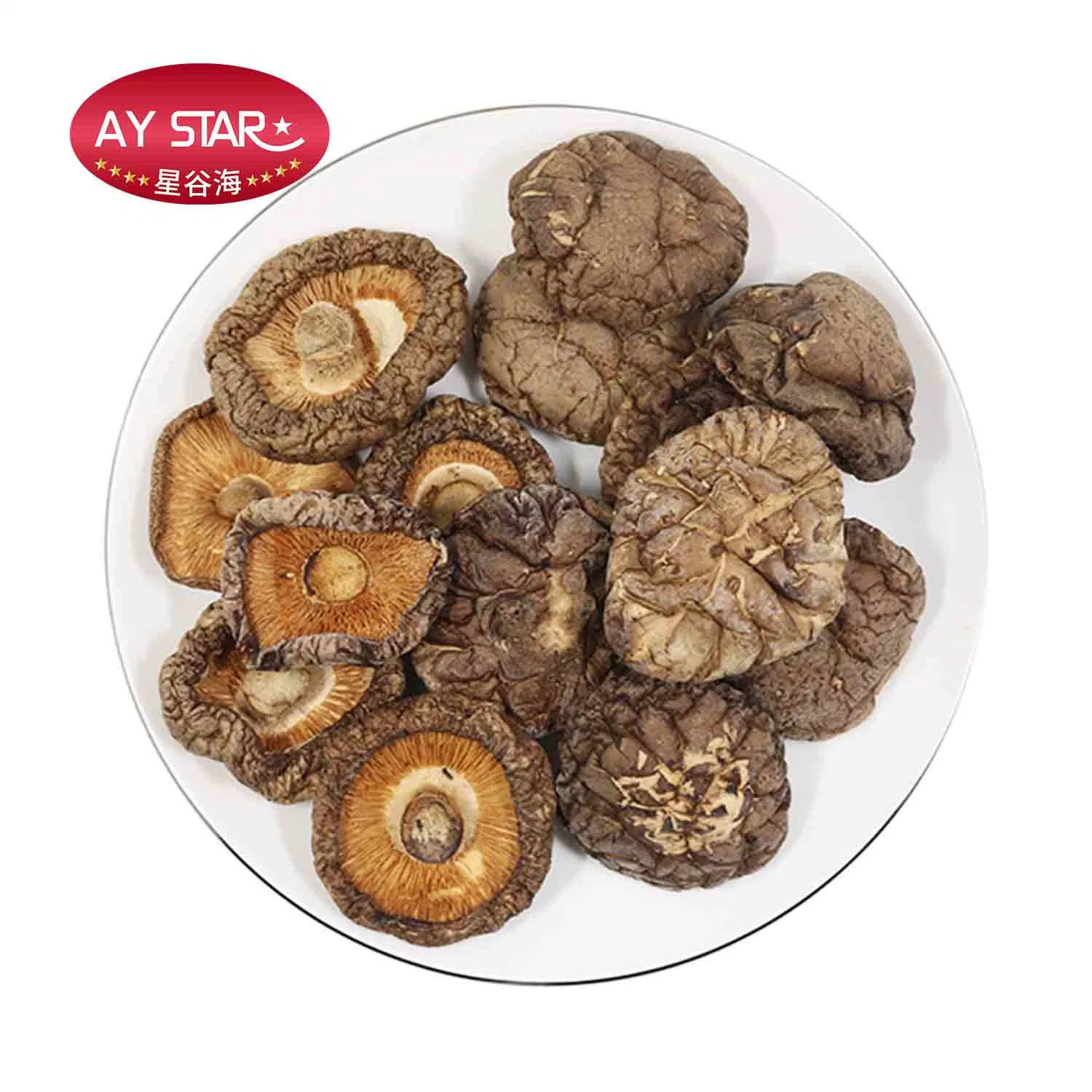 Nourriture sèche Lentinus edodes chinois de champignons shiitake séchés ensemble en vrac