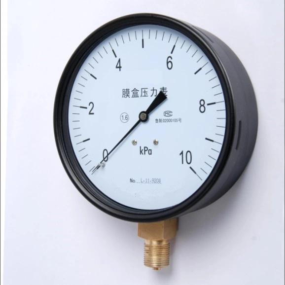 Stainless Steel Bottom Connection Capsule Pressure Gauge