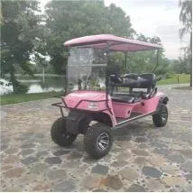 Hot Sports Ground Golf Buggy off-Road Electric Golf Cart for Sale