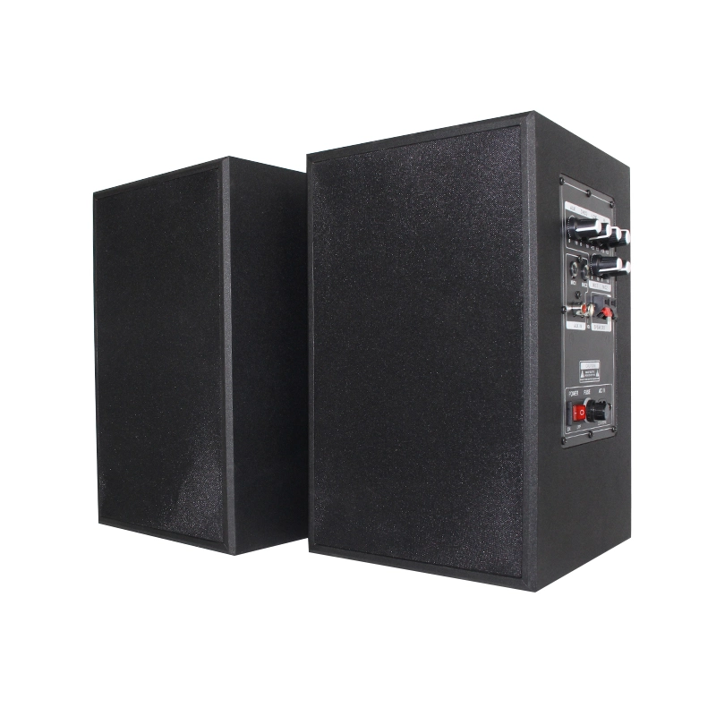 Sample Provided Dual Channel Speaker with 20Hz-20kHz Frequency Response