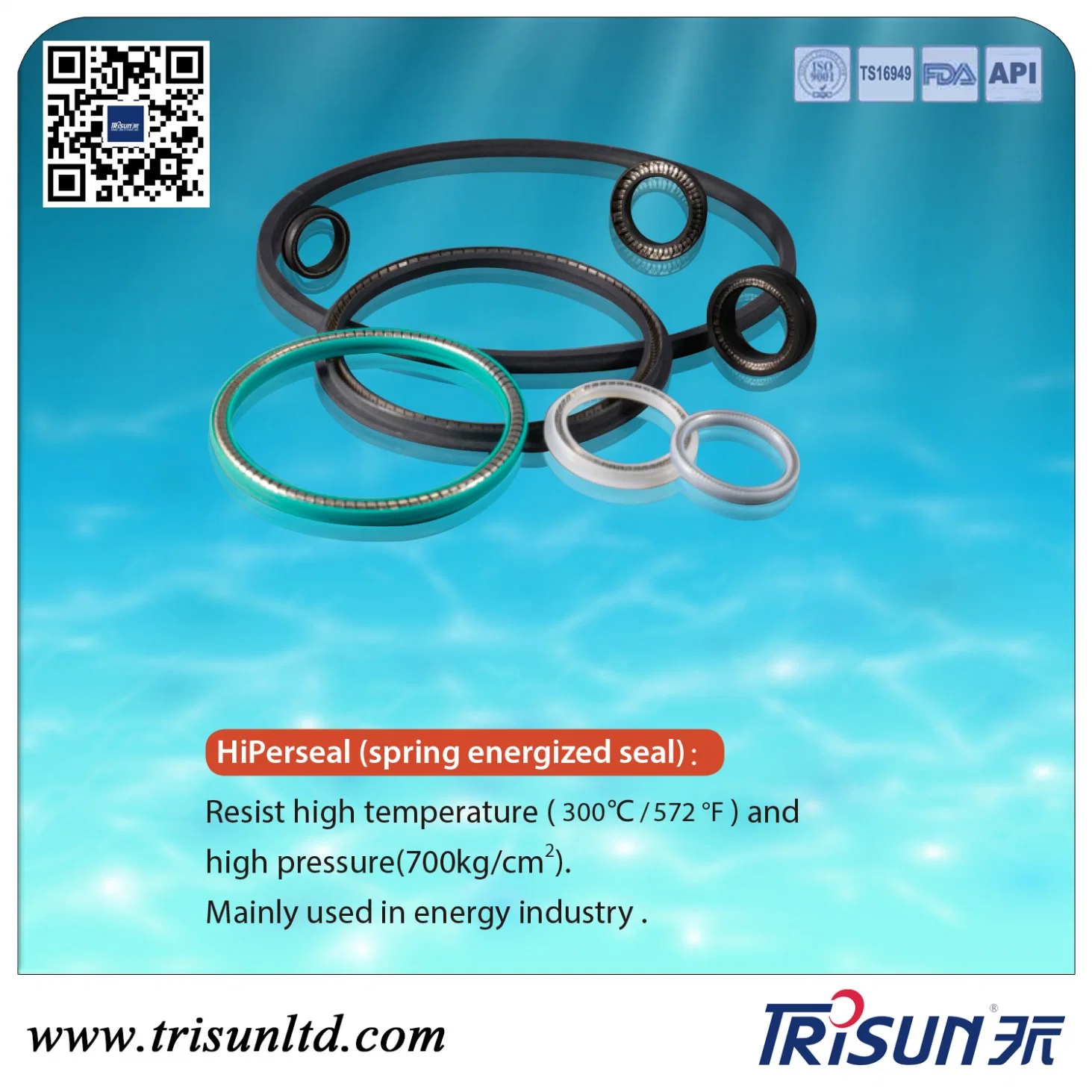 Spring Energized Seal, Hiper Seal, PTFE Seal, Oil Seal