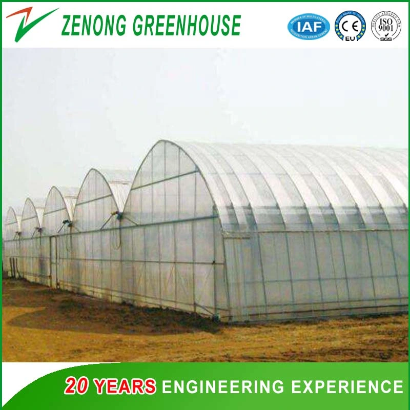 Multispan Green House with Plastic Film Arch Dome for Agriculture Harvest/Fruit Picking