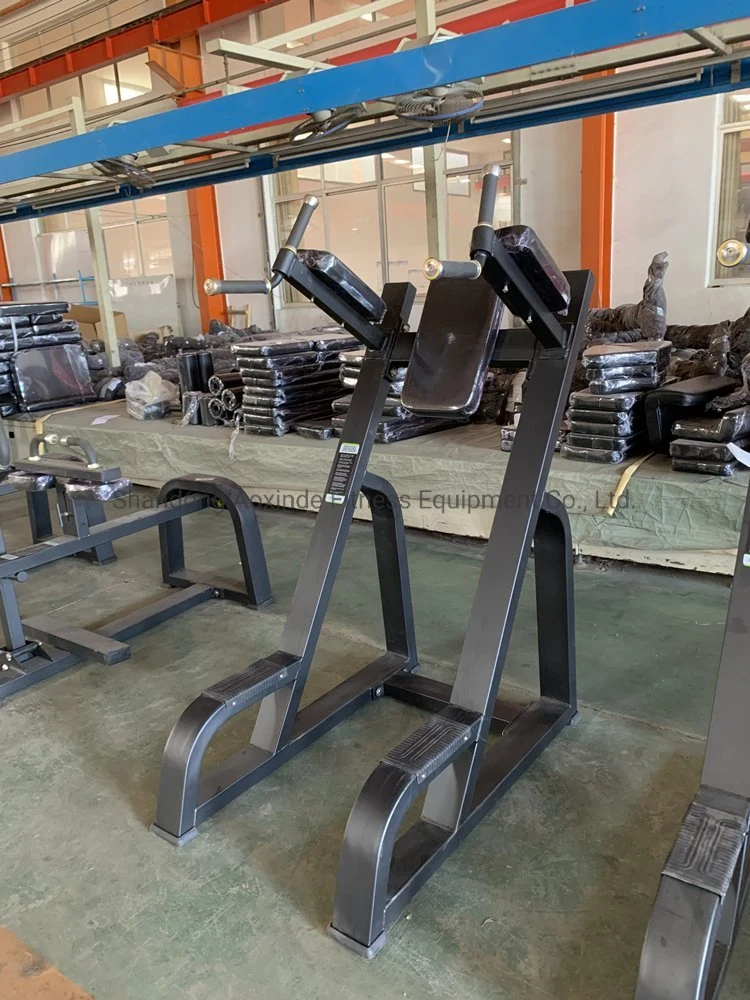 Commercial Fitness Equipment Body Building Gym Vertical Kness up/DIP Axd5047