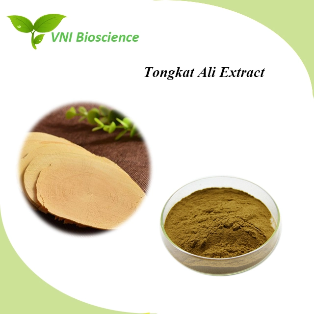 Kosher Certified High Pure Tongkat Ali Extract Powder